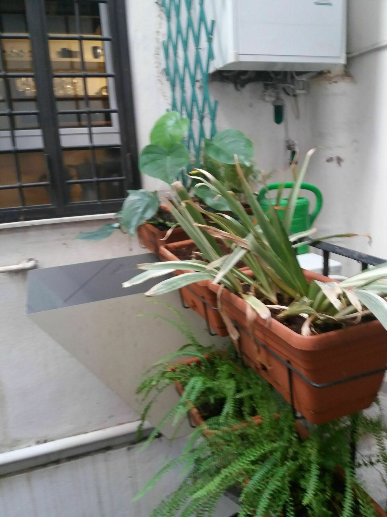 Apartament Campofiori Rzym Zewnętrze zdjęcie